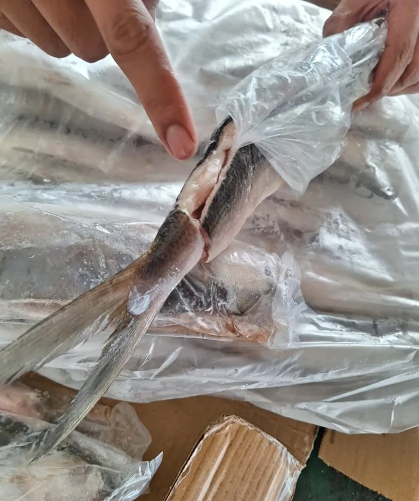Frozen milkfish in individual PE bags