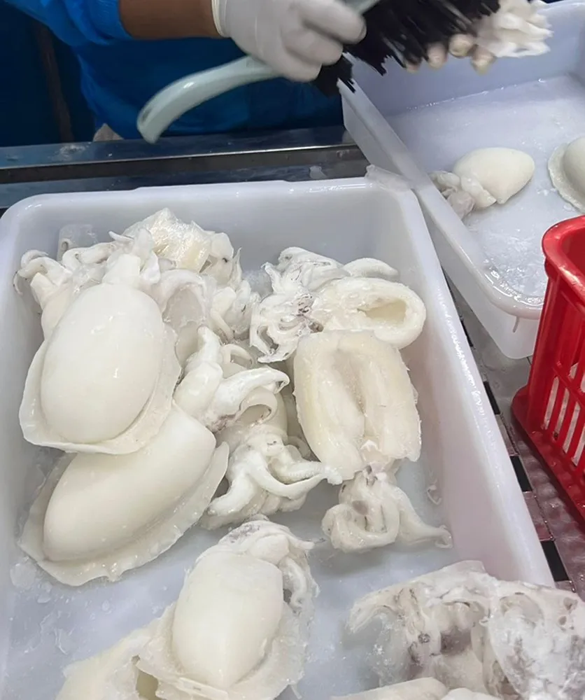 Pembersihan di meja proses